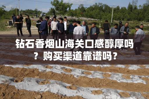 钻石香烟山海关口感醇厚吗？购买渠道靠谱吗？