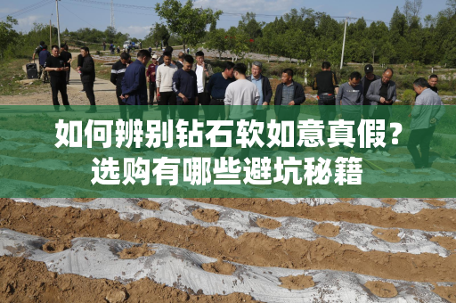 如何辨别钻石软如意真假？选购有哪些避坑秘籍